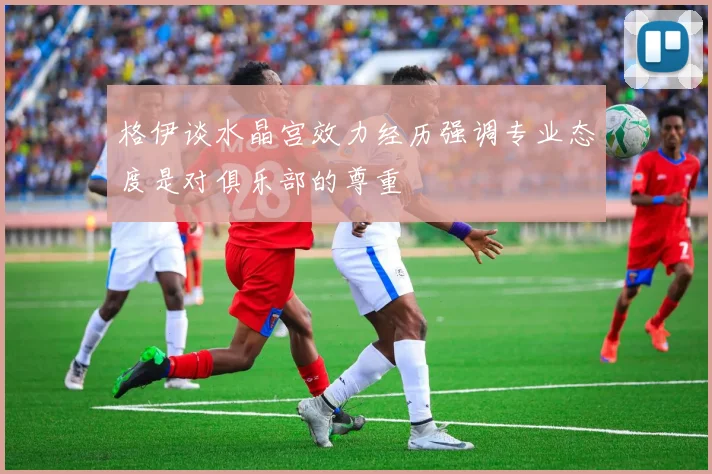 格伊谈水晶宫效力经历强调专业态度是对俱乐部的尊重