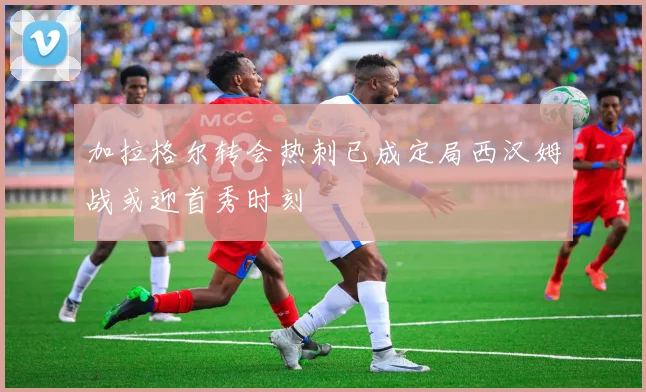 加拉格尔转会热刺已成定局西汉姆战或迎首秀时刻