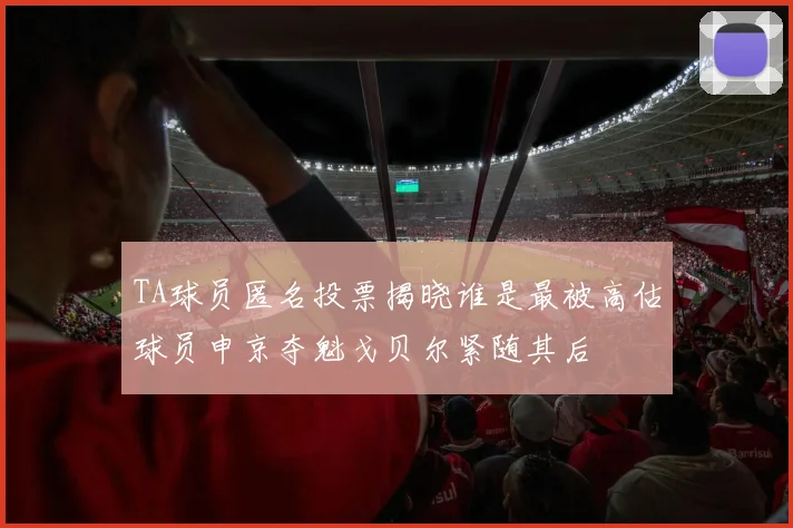 TA球员匿名投票揭晓谁是最被高估球员申京夺魁戈贝尔紧随其后
